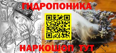 спиды Прохладный